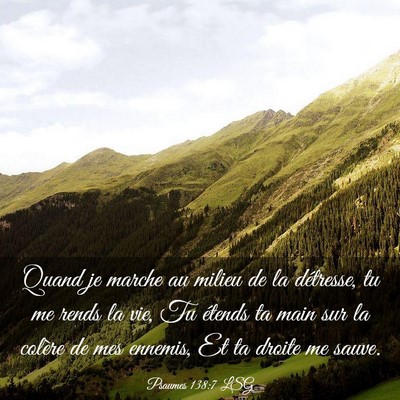 Picture 03 - Psaumes 138:7 LSG - Quand je marche au milieu de la détresse, tu me - Bible Verse Picture