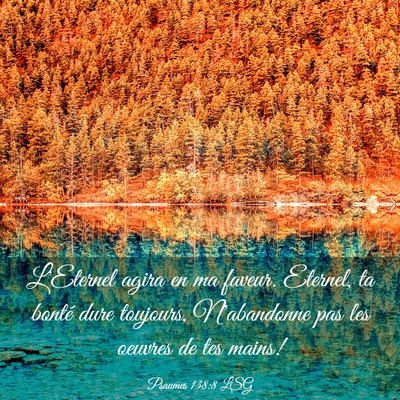 Picture 03 - Psaumes 138:8 LSG - L'Eternel agira en ma faveur. Eternel, ta bonté - Bible Verse Picture