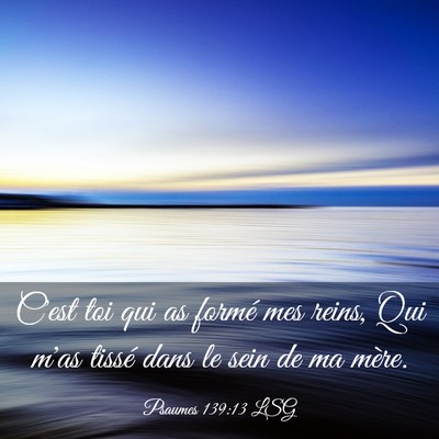 Picture 03 - Psaumes 139:13 LSG - C'est toi qui as formé mes reins, Qui m'as - Bible Verse Picture