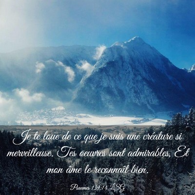 Picture 03 - Psaumes 139:14 LSG - Je te loue de ce que je suis une créature si - Bible Verse Picture