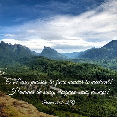 Picture 03 - Psaumes 139:19 LSG - O Dieu, puisses-tu faire mourir le méchant! - Bible Verse Picture