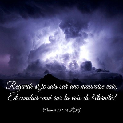 Picture 03 - Psaumes 139:24 LSG - Regarde si je suis sur une mauvaise voie, Et - Bible Verse Picture
