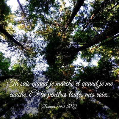 Picture 03 - Psaumes 139:3 LSG - Tu sais quand je marche et quand je me couche, Et - Bible Verse Picture
