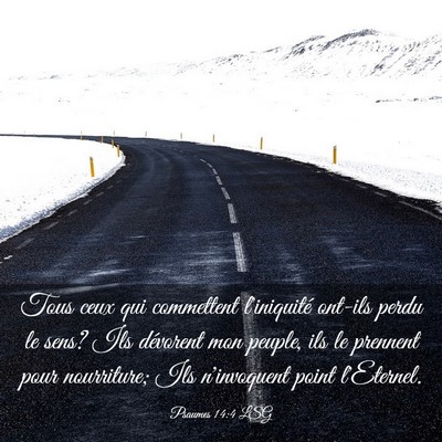 Picture 03 - Psaumes 14:4 LSG - Tous ceux qui commettent l'iniquité ont-ils - Bible Verse Picture