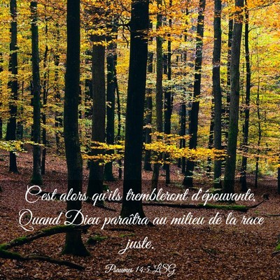 Picture 03 - Psaumes 14:5 LSG - C'est alors qu'ils trembleront d'épouvante, - Bible Verse Picture