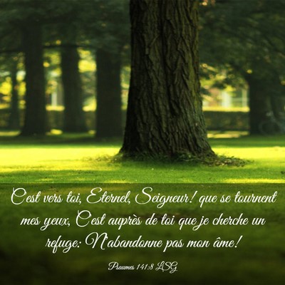 Picture 03 - Psaumes 141:8 LSG - C'est vers toi, Eternel, Seigneur! que se - Bible Verse Picture