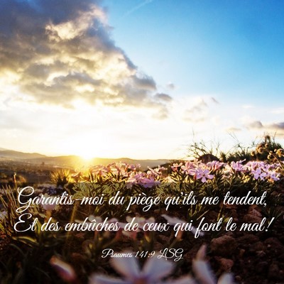 Picture 03 - Psaumes 141:9 LSG - Garantis-moi du piège qu'ils me tendent, Et des - Bible Verse Picture