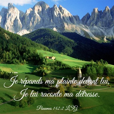Picture 03 - Psaumes 142:2 LSG - Je répands ma plainte devant lui, Je lui raconte - Bible Verse Picture
