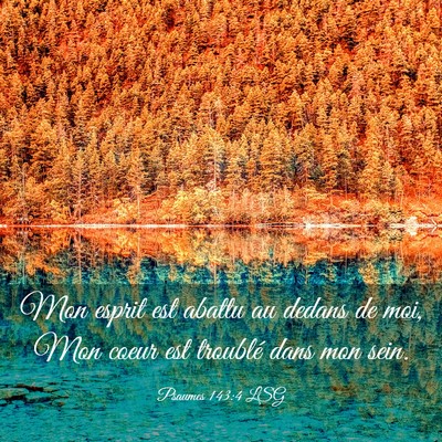 Picture 03 - Psaumes 143:4 LSG - Mon esprit est abattu au dedans de moi, Mon coeur - Bible Verse Picture