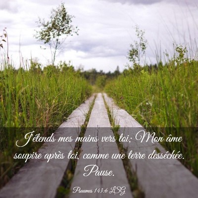 Picture 03 - Psaumes 143:6 LSG - J'étends mes mains vers toi; Mon âme soupire - Bible Verse Picture