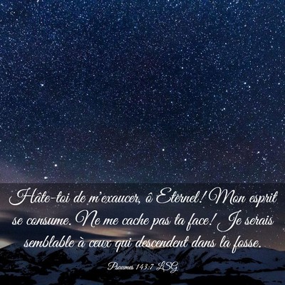 Picture 03 - Psaumes 143:7 LSG - Hâte-toi de m'exaucer, ô Eternel! Mon esprit se - Bible Verse Picture