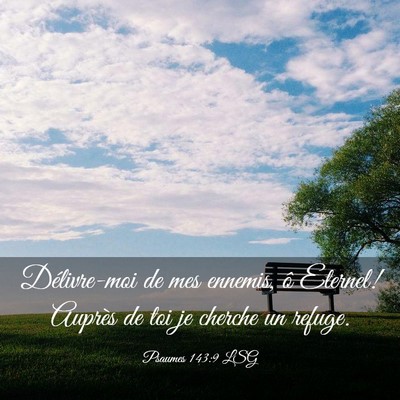 Picture 03 - Psaumes 143:9 LSG - Délivre-moi de mes ennemis, ô Eternel! Auprès - Bible Verse Picture
