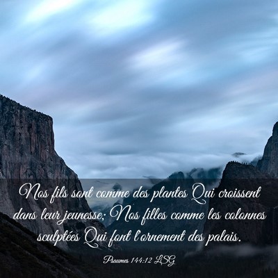 Picture 03 - Psaumes 144:12 LSG - Nos fils sont comme des plantes Qui croissent - Bible Verse Picture