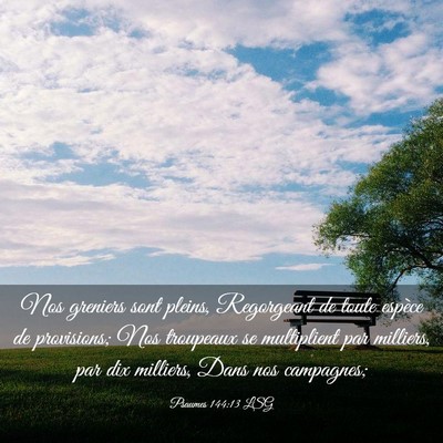 Picture 03 - Psaumes 144:13 LSG - Nos greniers sont pleins, Regorgeant de toute - Bible Verse Picture