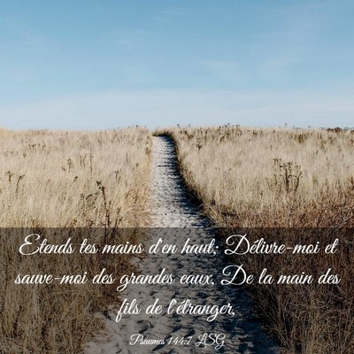 Picture 03 - Psaumes 144:7 LSG - Etends tes mains d'en haut; Délivre-moi et - Bible Verse Picture