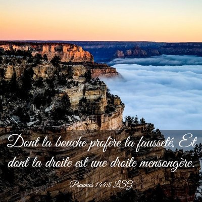 Picture 03 - Psaumes 144:8 LSG - Dont la bouche profère la fausseté, Et dont la - Bible Verse Picture