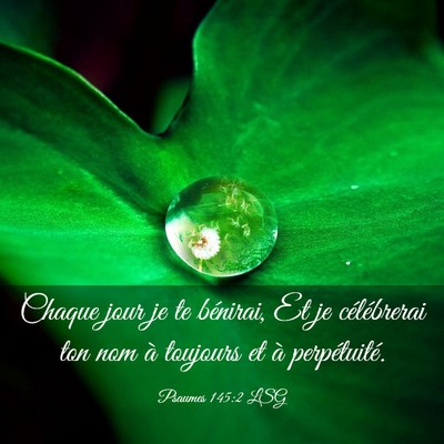 Picture 03 - Psaumes 145:2 LSG - Chaque jour je te bénirai, Et je célébrerai - Bible Verse Picture