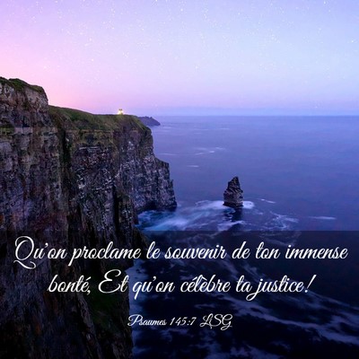 Picture 03 - Psaumes 145:7 LSG - Qu'on proclame le souvenir de ton immense bonté, - Bible Verse Picture
