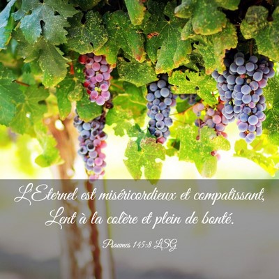 Picture 03 - Psaumes 145:8 LSG - L'Eternel est miséricordieux et compatissant, - Bible Verse Picture