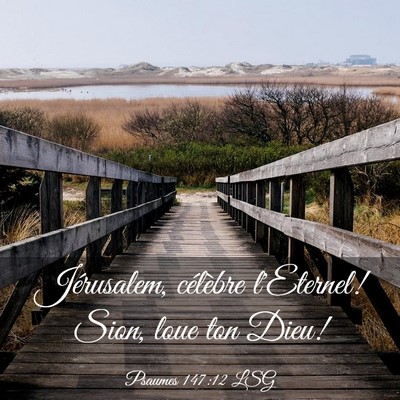 Picture 03 - Psaumes 147:12 LSG - Jérusalem, célèbre l'Eternel! Sion, loue ton - Bible Verse Picture