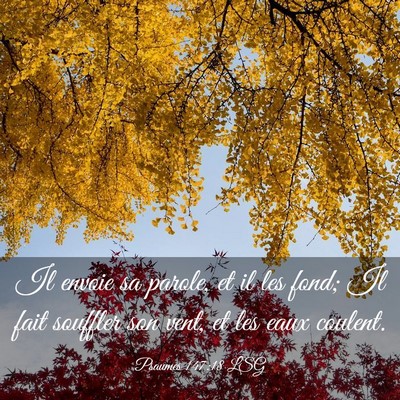Picture 03 - Psaumes 147:18 LSG - Il envoie sa parole, et il les fond; Il fait - Bible Verse Picture