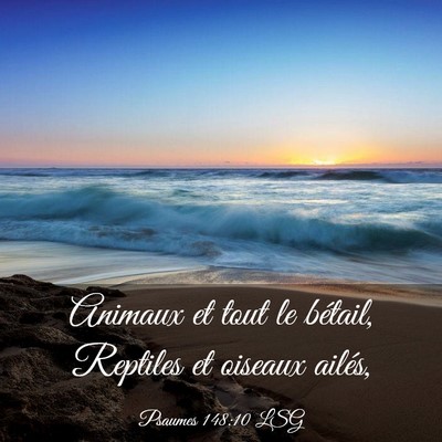 Picture 03 - Psaumes 148:10 LSG - Animaux et tout le bétail, Reptiles et oiseaux - Bible Verse Picture