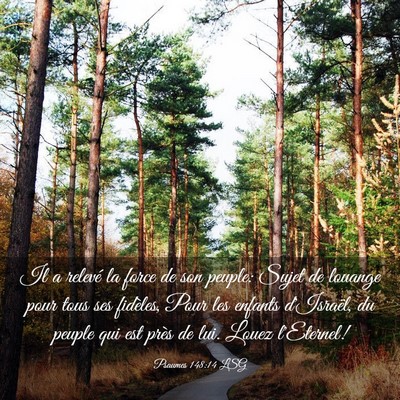 Picture 03 - Psaumes 148:14 LSG - Il a relevé la force de son peuple: Sujet de - Bible Verse Picture