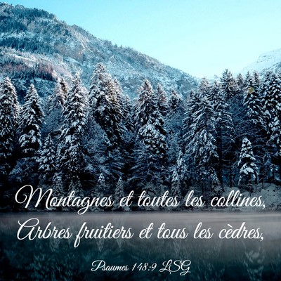 Picture 03 - Psaumes 148:9 LSG - Montagnes et toutes les collines, Arbres - Bible Verse Picture