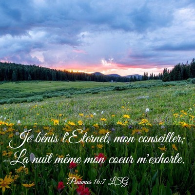 Picture 03 - Psaumes 16:7 LSG - Je bénis l'Eternel, mon conseiller; La nuit - Bible Verse Picture