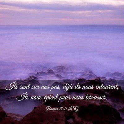 Picture 03 - Psaumes 17:11 LSG - Ils sont sur nos pas, déjà ils nous entourent, - Bible Verse Picture