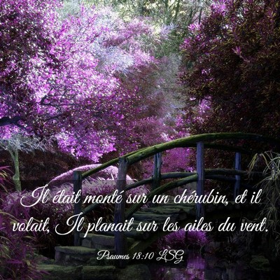 Picture 03 - Psaumes 18:10 LSG - Il était monté sur un chérubin, et il volait, - Bible Verse Picture