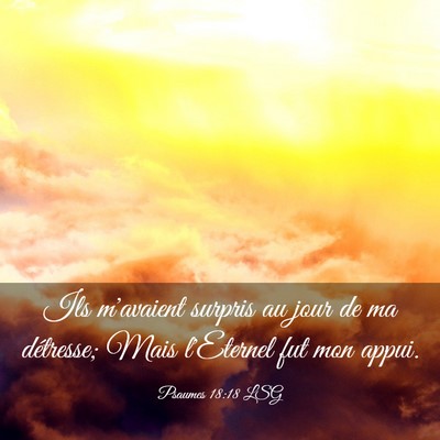 Picture 03 - Psaumes 18:18 LSG - Ils m'avaient surpris au jour de ma détresse; - Bible Verse Picture