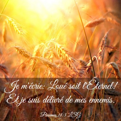 Picture 03 - Psaumes 18:3 LSG - Je m'écrie: Loué soit l'Eternel! Et je suis - Bible Verse Picture