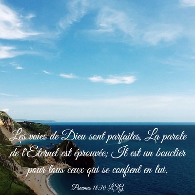 Picture 03 - Psaumes 18:30 LSG - Les voies de Dieu sont parfaites, La parole de - Bible Verse Picture