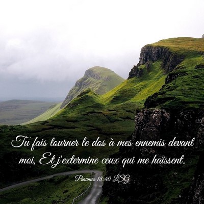 Picture 03 - Psaumes 18:40 LSG - Tu fais tourner le dos à mes ennemis devant moi, - Bible Verse Picture