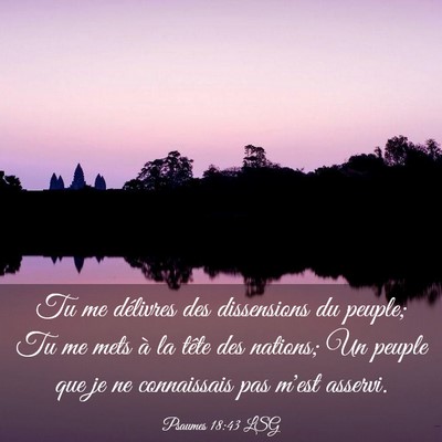 Picture 03 - Psaumes 18:43 LSG - Tu me délivres des dissensions du peuple; Tu me - Bible Verse Picture