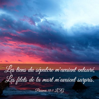 Picture 03 - Psaumes 18:5 LSG - Les liens du sépulcre m'avaient entouré, Les - Bible Verse Picture