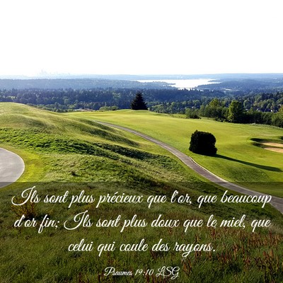 Picture 03 - Psaumes 19:10 LSG - Ils sont plus précieux que l'or, que beaucoup - Bible Verse Picture