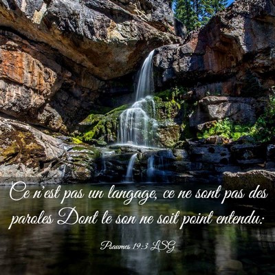 Picture 03 - Psaumes 19:3 LSG - Ce n'est pas un langage, ce ne sont pas des - Bible Verse Picture