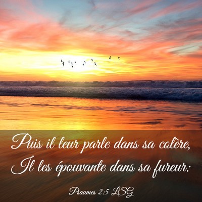 Picture 03 - Psaumes 2:5 LSG - Puis il leur parle dans sa colère, Il les - Bible Verse Picture