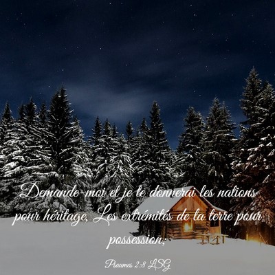 Picture 03 - Psaumes 2:8 LSG - Demande-moi et je te donnerai les nations pour - Bible Verse Picture