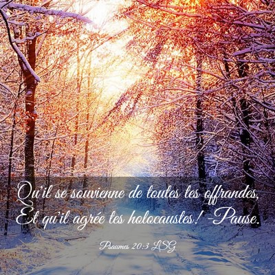 Picture 03 - Psaumes 20:3 LSG - Qu'il se souvienne de toutes tes offrandes, Et - Bible Verse Picture