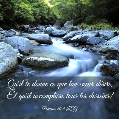 Picture 03 - Psaumes 20:4 LSG - Qu'il te donne ce que ton coeur désire, Et qu'il - Bible Verse Picture