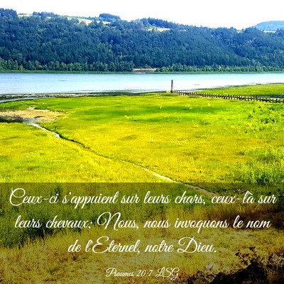 Picture 03 - Psaumes 20:7 LSG - Ceux-ci s'appuient sur leurs chars, ceux-là sur - Bible Verse Picture
