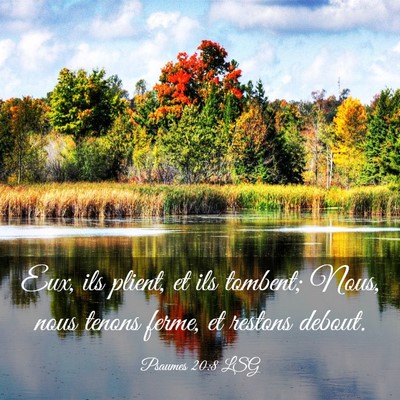 Picture 03 - Psaumes 20:8 LSG - Eux, ils plient, et ils tombent; Nous, nous - Bible Verse Picture