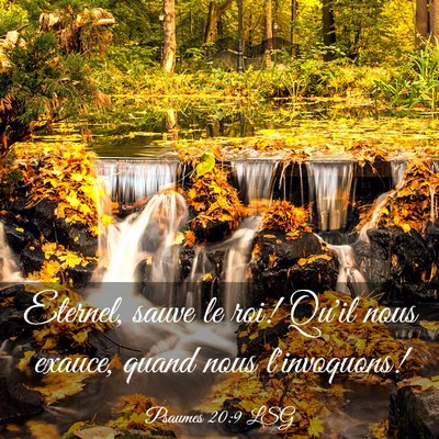 Picture 03 - Psaumes 20:9 LSG - Eternel, sauve le roi! Qu'il nous exauce, quand - Bible Verse Picture