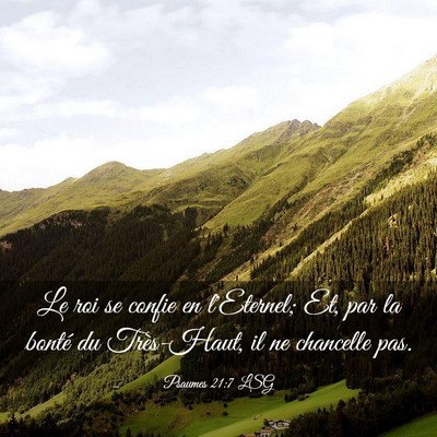 Picture 03 - Psaumes 21:7 LSG - Le roi se confie en l'Eternel; Et, par la bonté - Bible Verse Picture