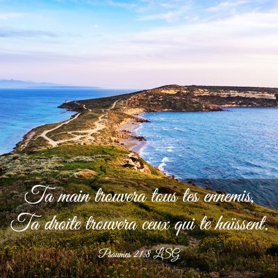 Picture 03 - Psaumes 21:8 LSG - Ta main trouvera tous tes ennemis, Ta droite - Bible Verse Picture