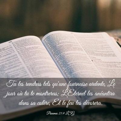 Picture 03 - Psaumes 21:9 LSG - Tu les rendras tels qu'une fournaise ardente, Le - Bible Verse Picture