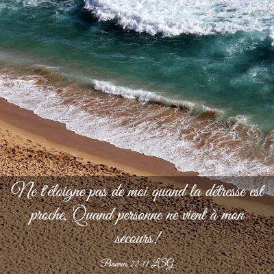 Picture 03 - Psaumes 22:11 LSG - Ne t'éloigne pas de moi quand la détresse est - Bible Verse Picture